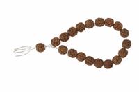 Rudraksha slip Mala on Silver chain - For Children